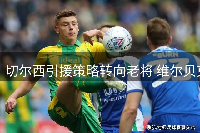 切尔西引援策略转向老将 维尔贝克或成蓝军新目标