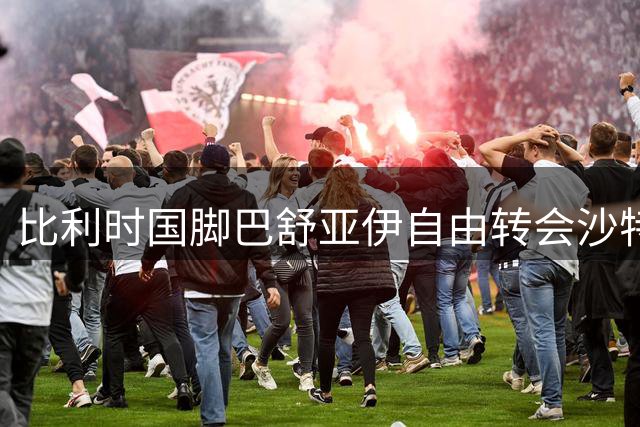 比利时国脚巴舒亚伊自由转会沙特阿布哈俱乐部